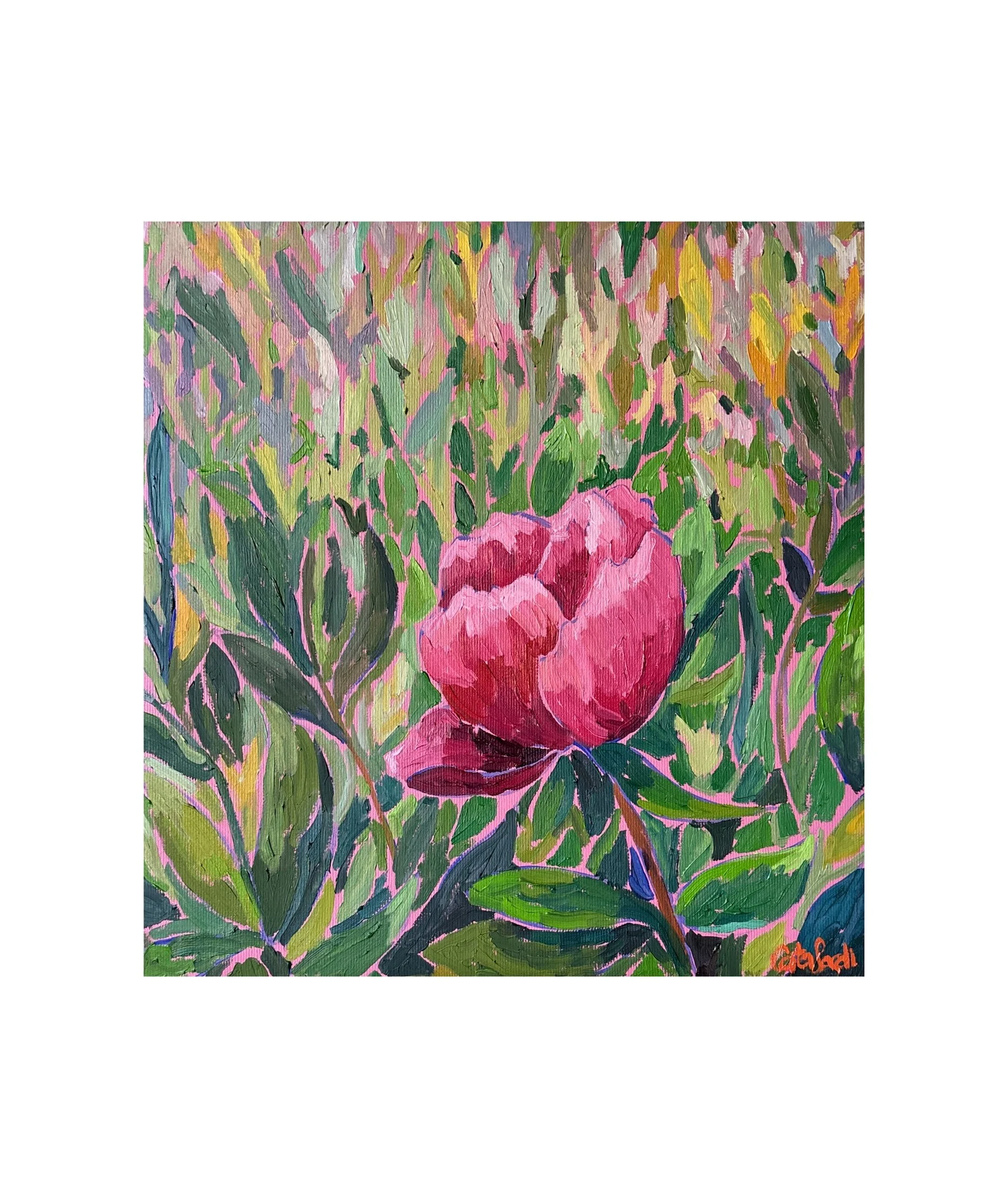 Oil painting of a peony flower representing tenderness, self-worth, and emotional openness. Surrounded by a soft rose-toned background of compassion and warmth.