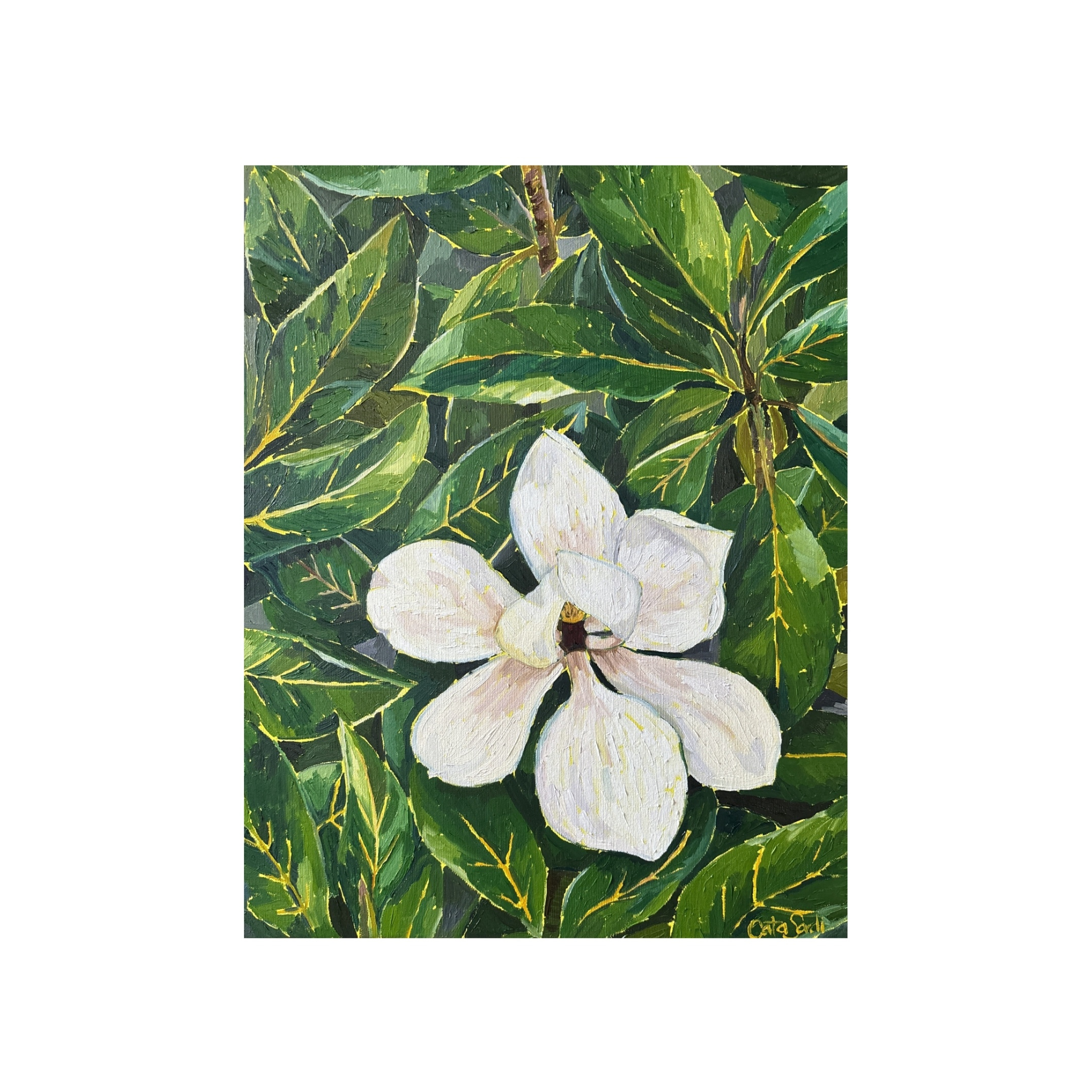 Catalina_Sardi_Art_Open_to_Receive_F_Sq.png