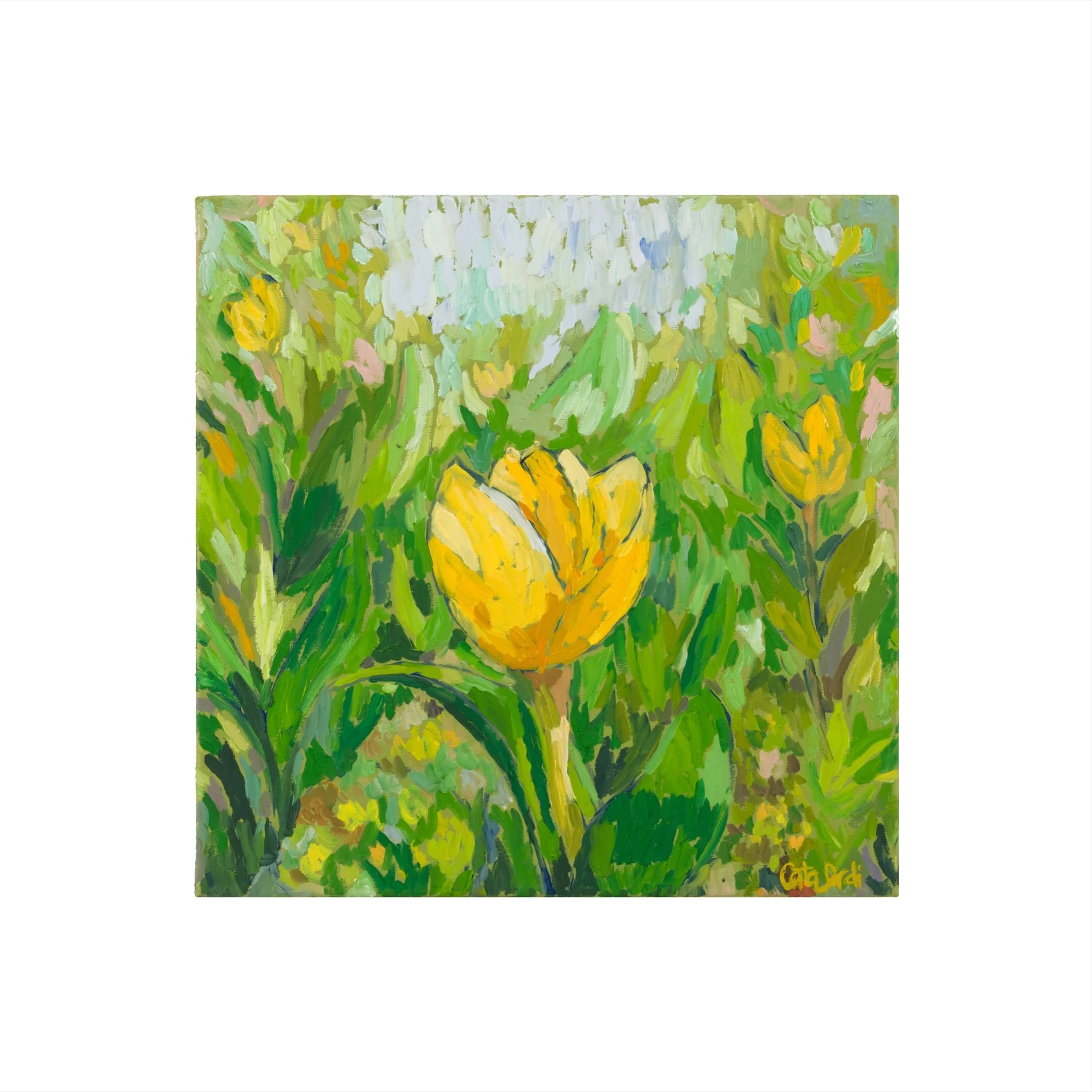 Original oil painting of a yellow tulip symbolizing renewal, emotional balance, and trust in new beginnings. Set against a healing light green background, this 30 × 30 cm artwork is part of the Steadfast series by Catalina Sardi, exploring resilience
