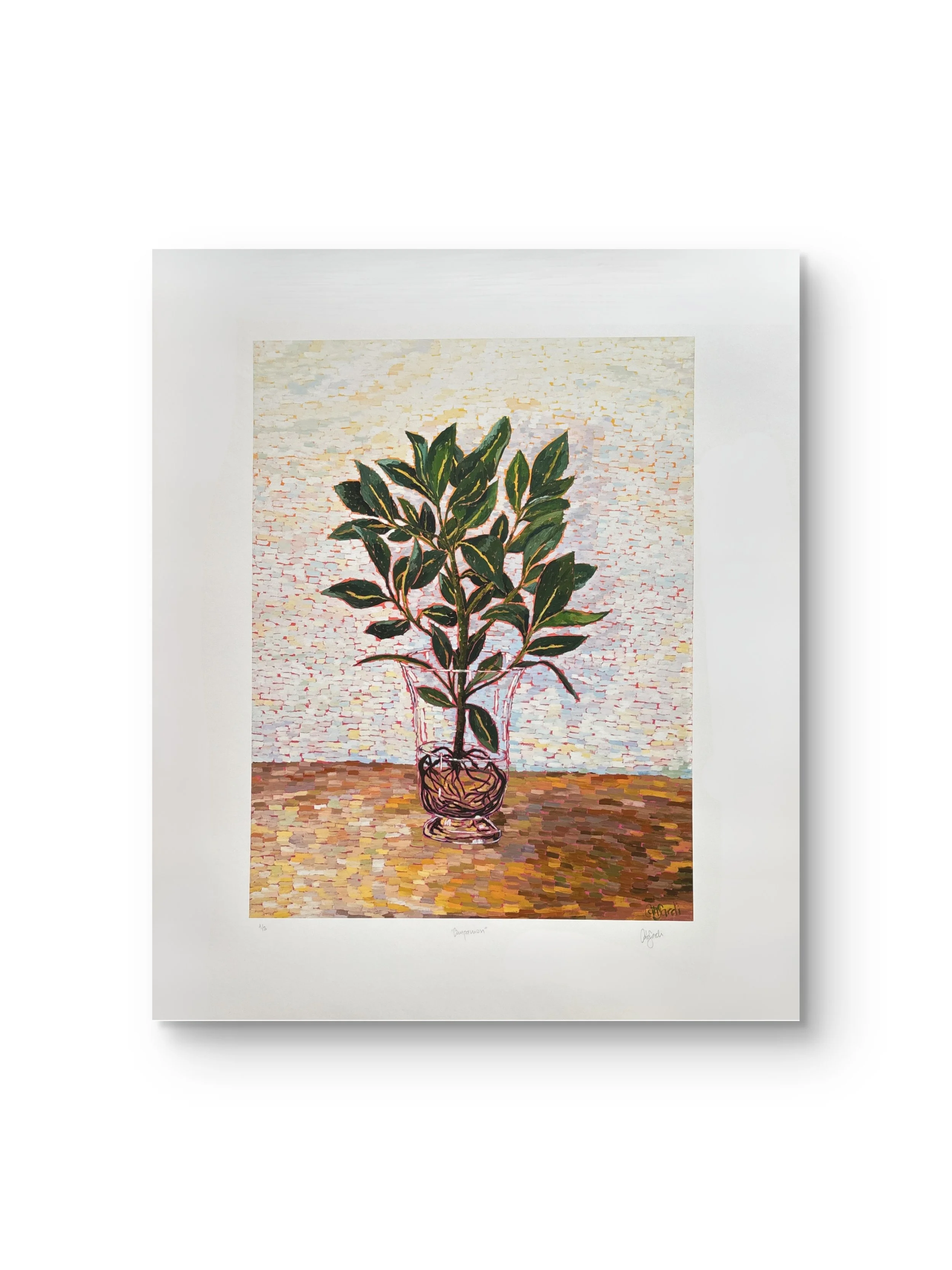 Catalina_Sardi_Limited_Edition_Print_Companion_Ft.JPG