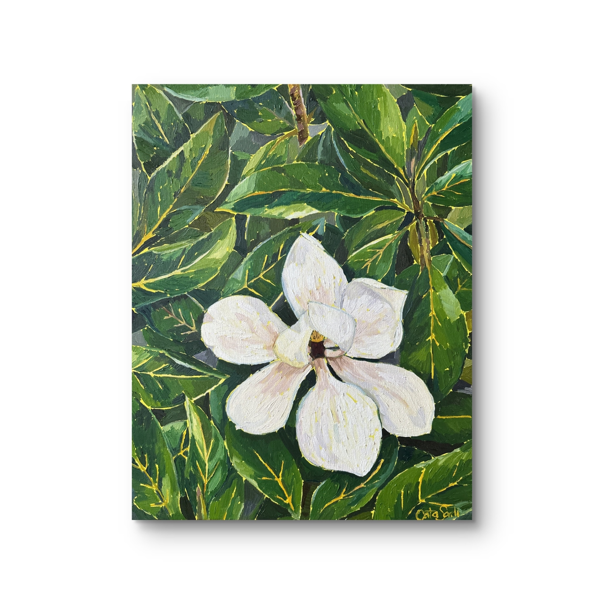 Catalina_Sardi_Art_Open_to_Receive_S_Sq.png
