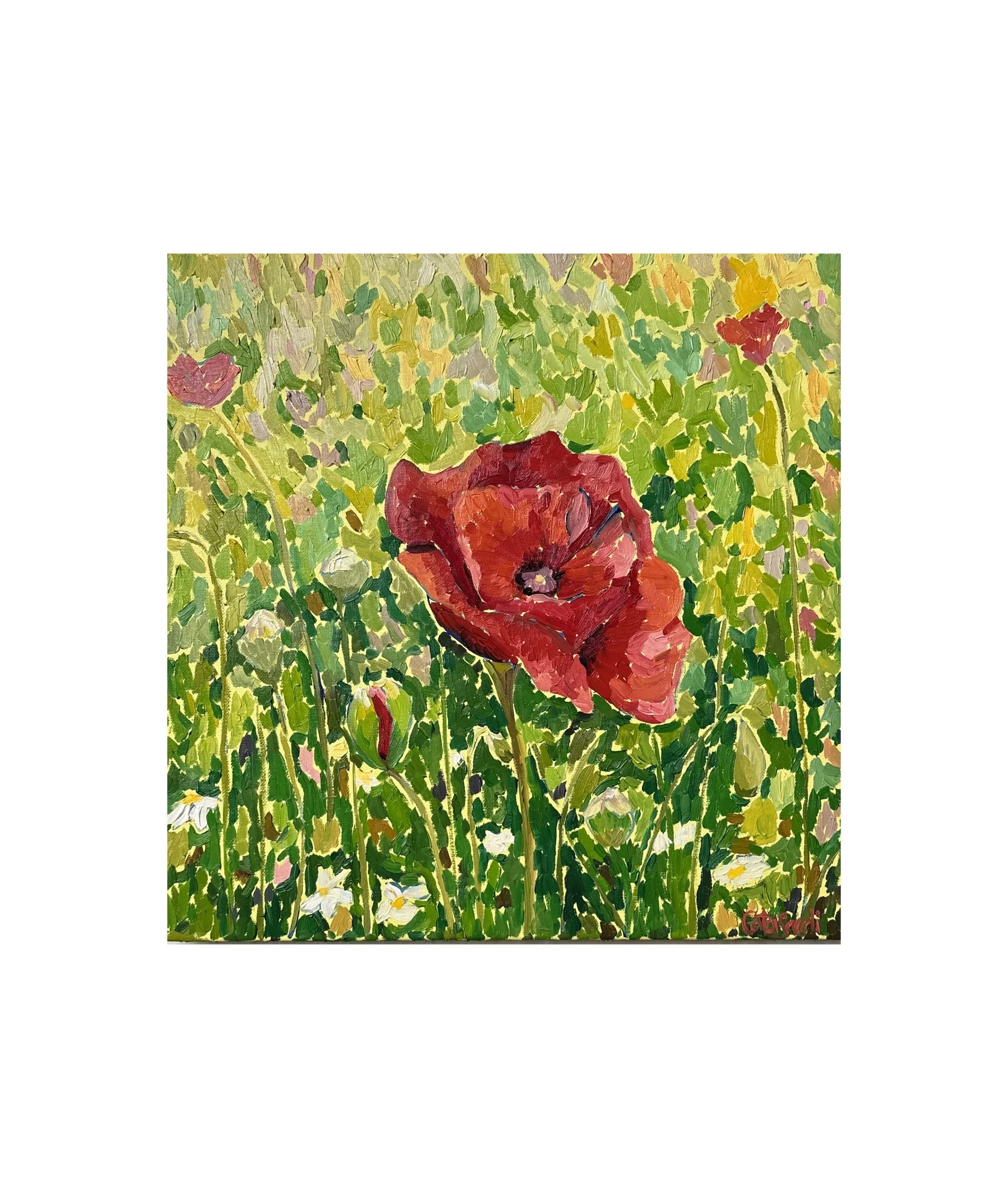 Symbolic oil painting of a poppy flower expressing gentle optimism, inner clarity, and enduring hope. Set in a light yellow field of warmth and confidence.