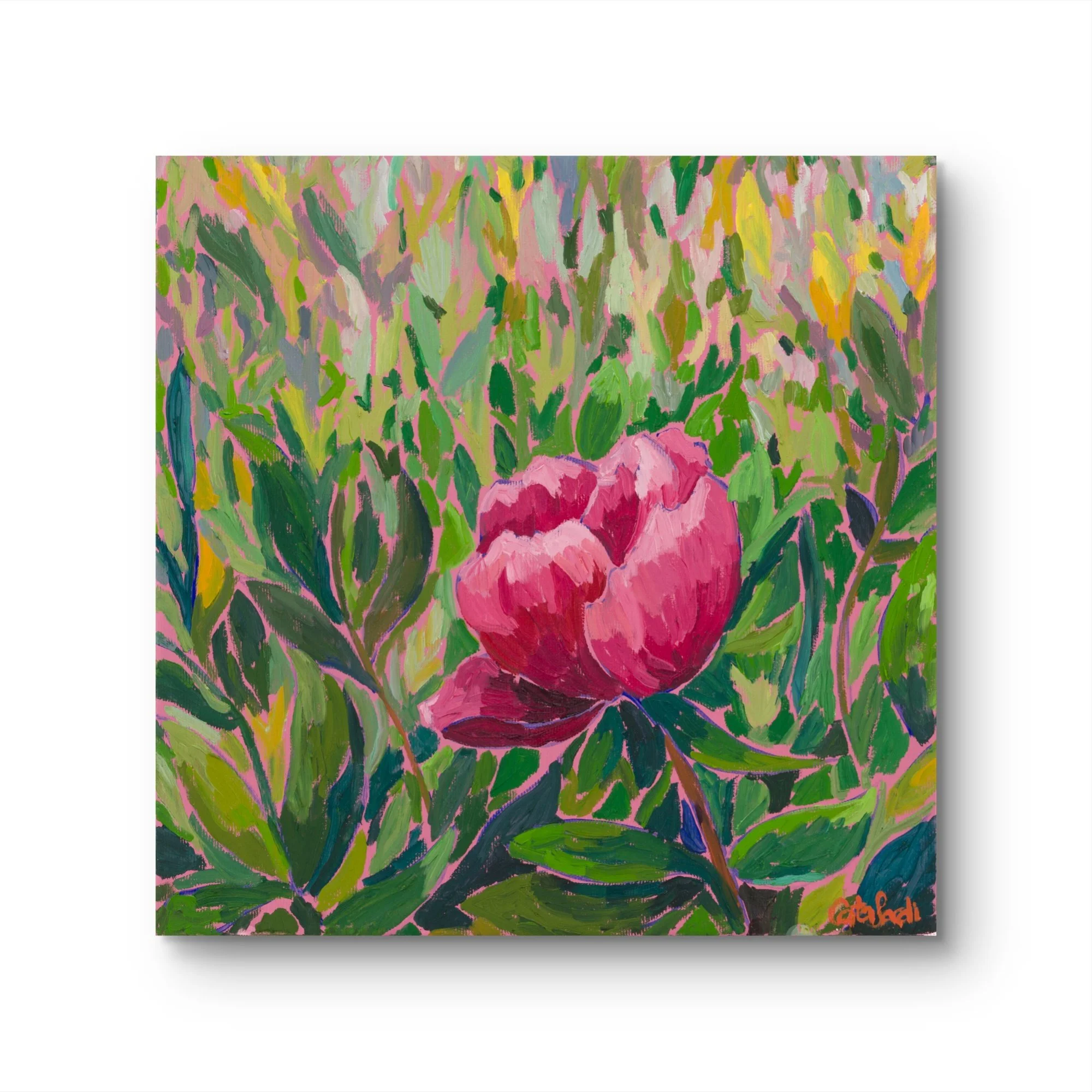 Steadfast V - Peony Flower