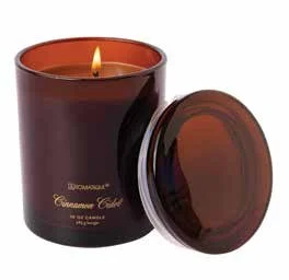 CINN CIDER FOUNDRY CANDLE.jpeg