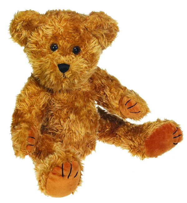 MAXY BEAR.webp