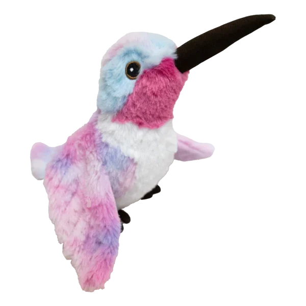 HUMMINGBIRD.webp