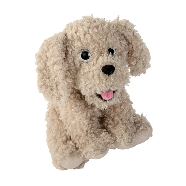 TOFFEE DOGGY.webp