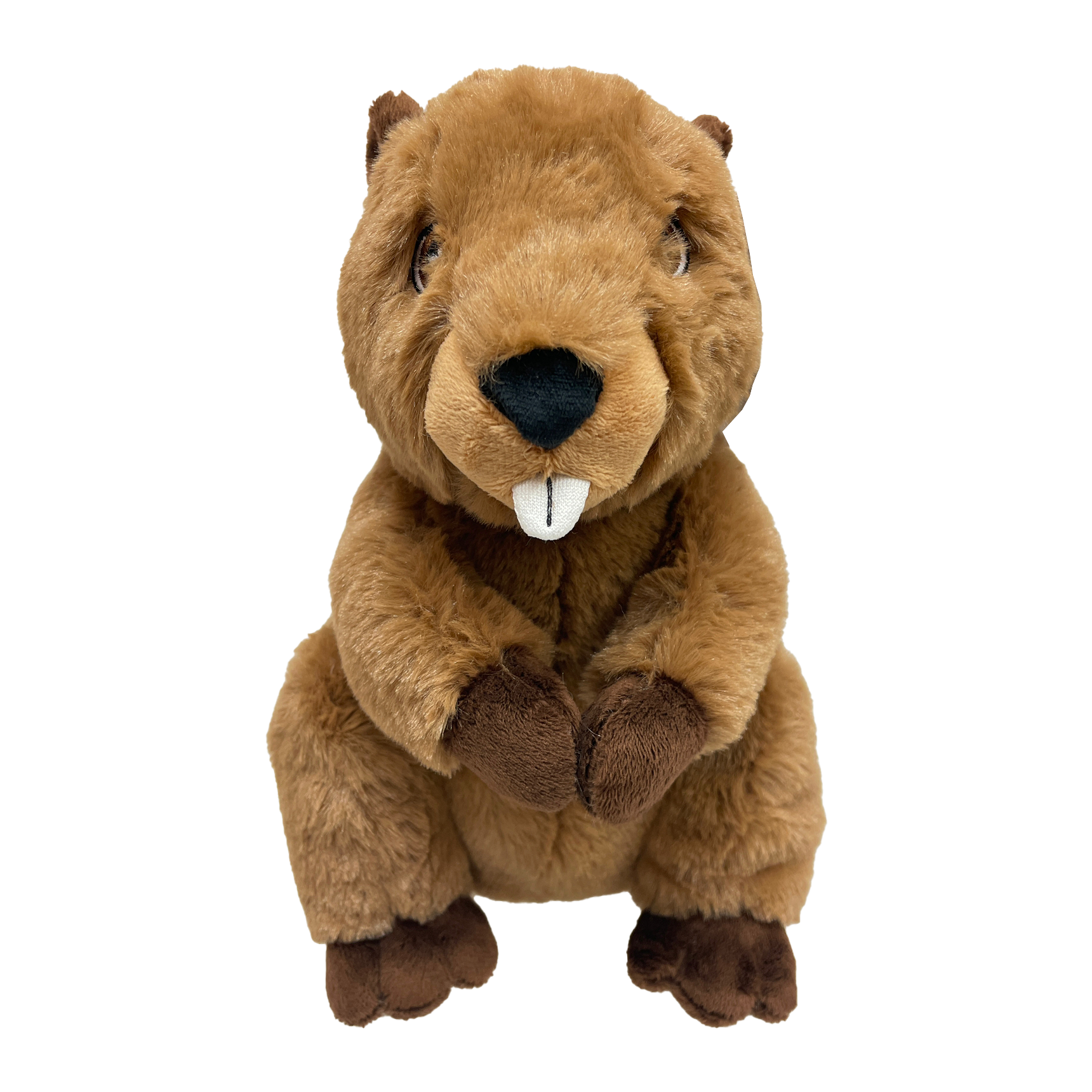 46012 beaver copy.png