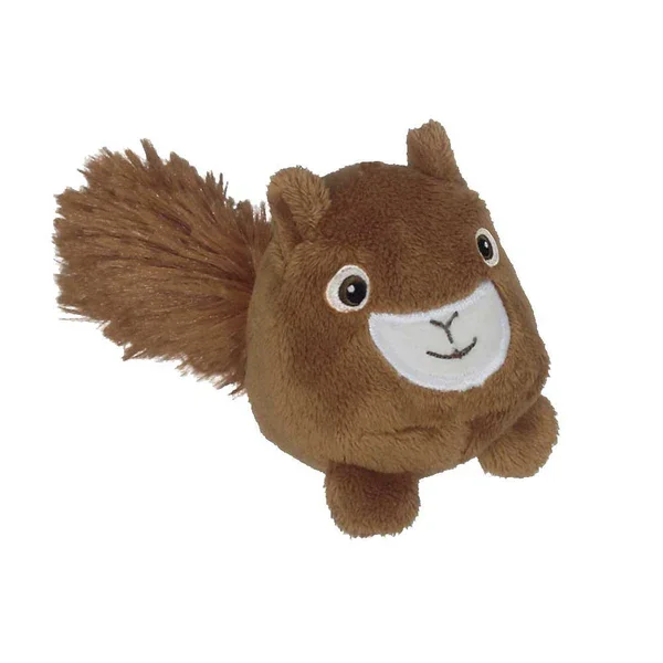 SQUIRREL.webp