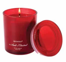SMELL OF CHRISTMAS FOUNDRY CANDLE.jpeg