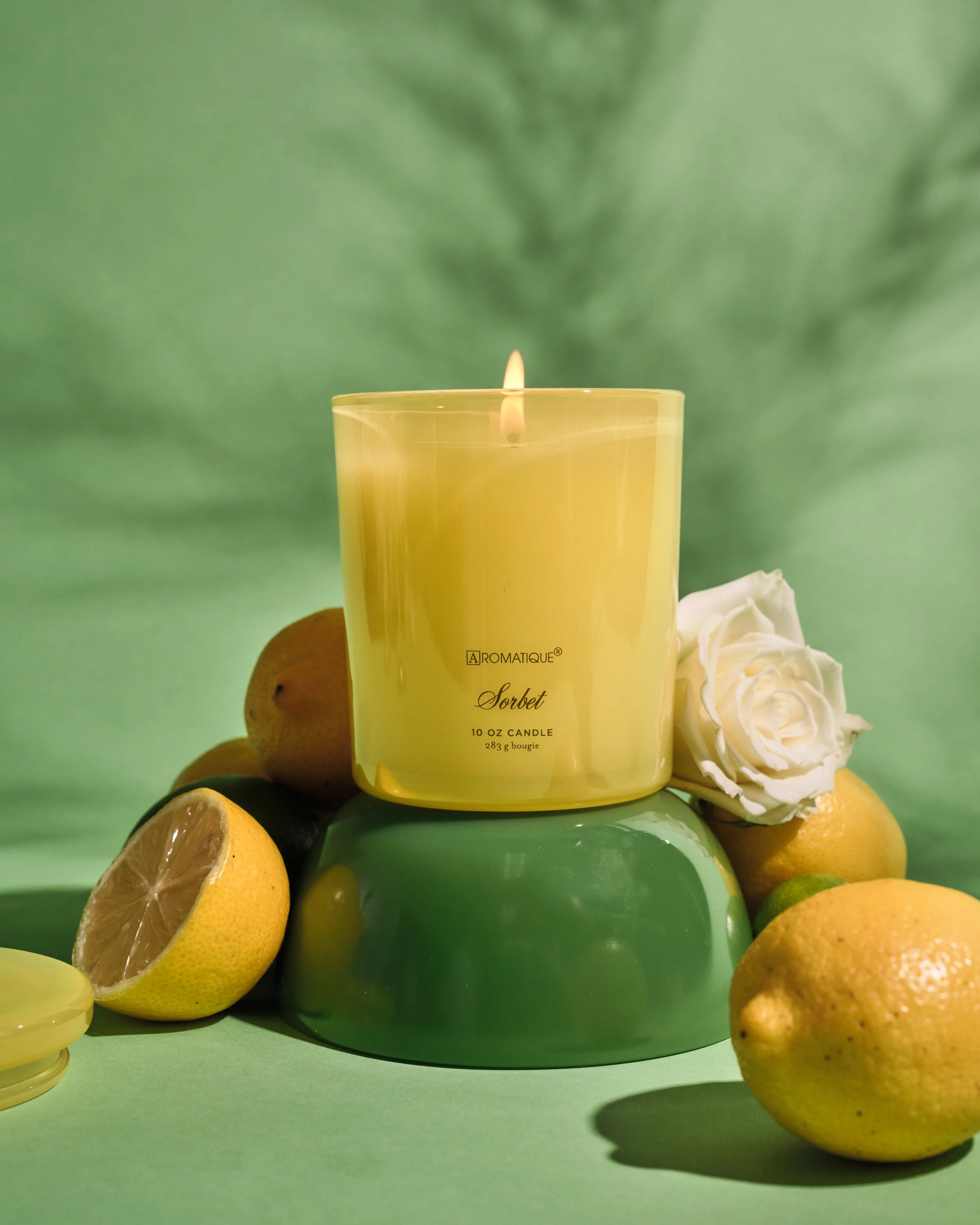 20250818_Aromatique_Spring 20268763.jpg