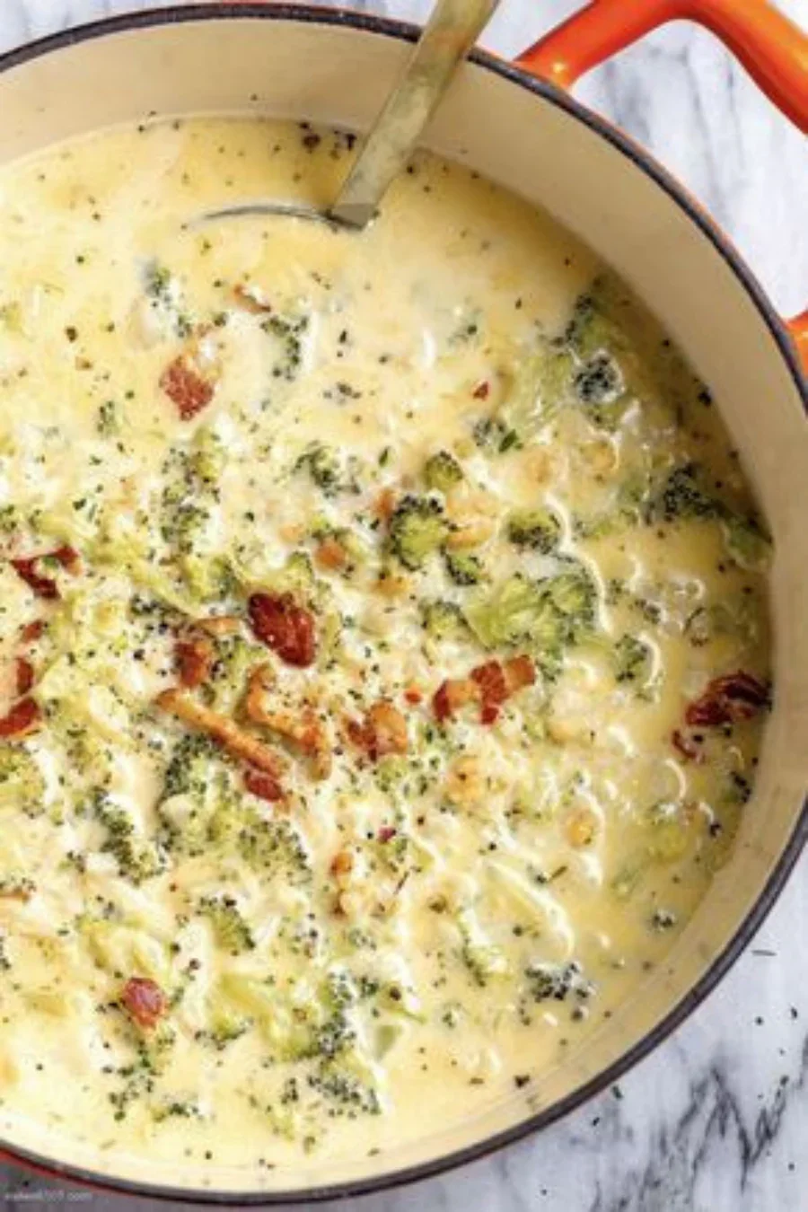 BROCCOLI CHEESE SOUP