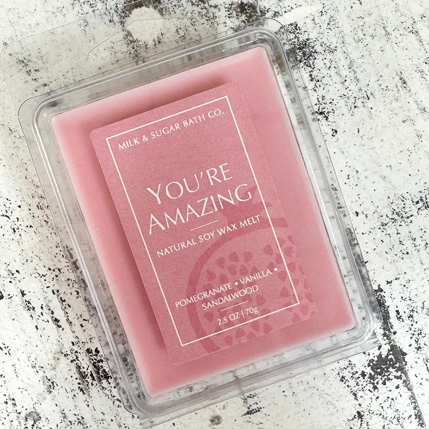 YOU'RE AMAZING WAX MELT.webp