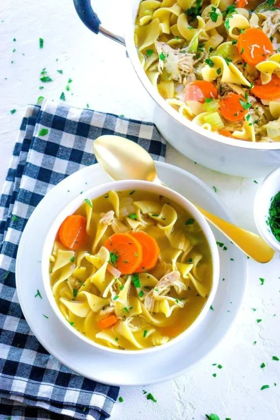 CHICKEN NOODLE SOUP/ DUMPLING
