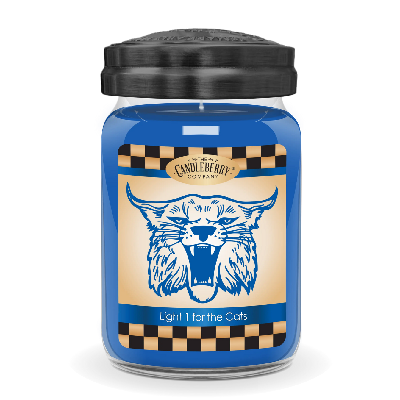 LIGHT 1 FOR THE CATS LARGE JAR.png