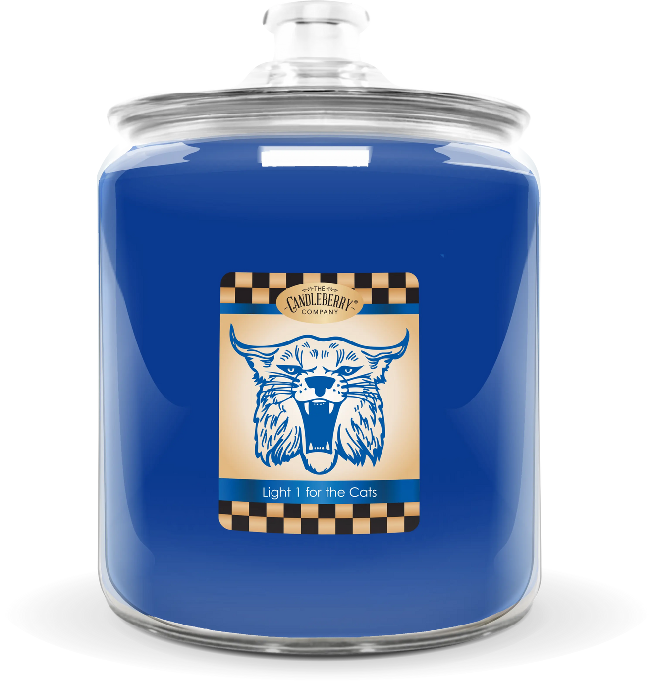 LIGHT 1 FOR THE CATS COOKIE JAR.png