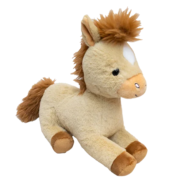 PONY.webp