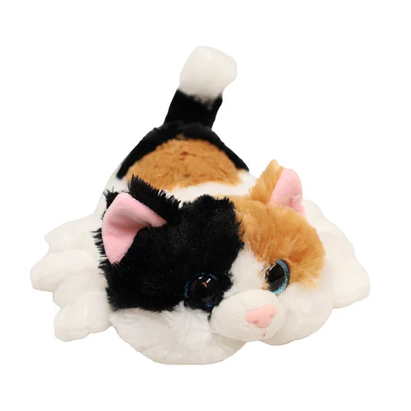 CALICO CAT.webp
