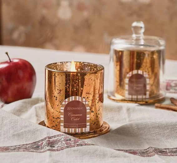CIN CIDER PLAID CLOCHE GLASS CANDLE WITH LID.jpeg