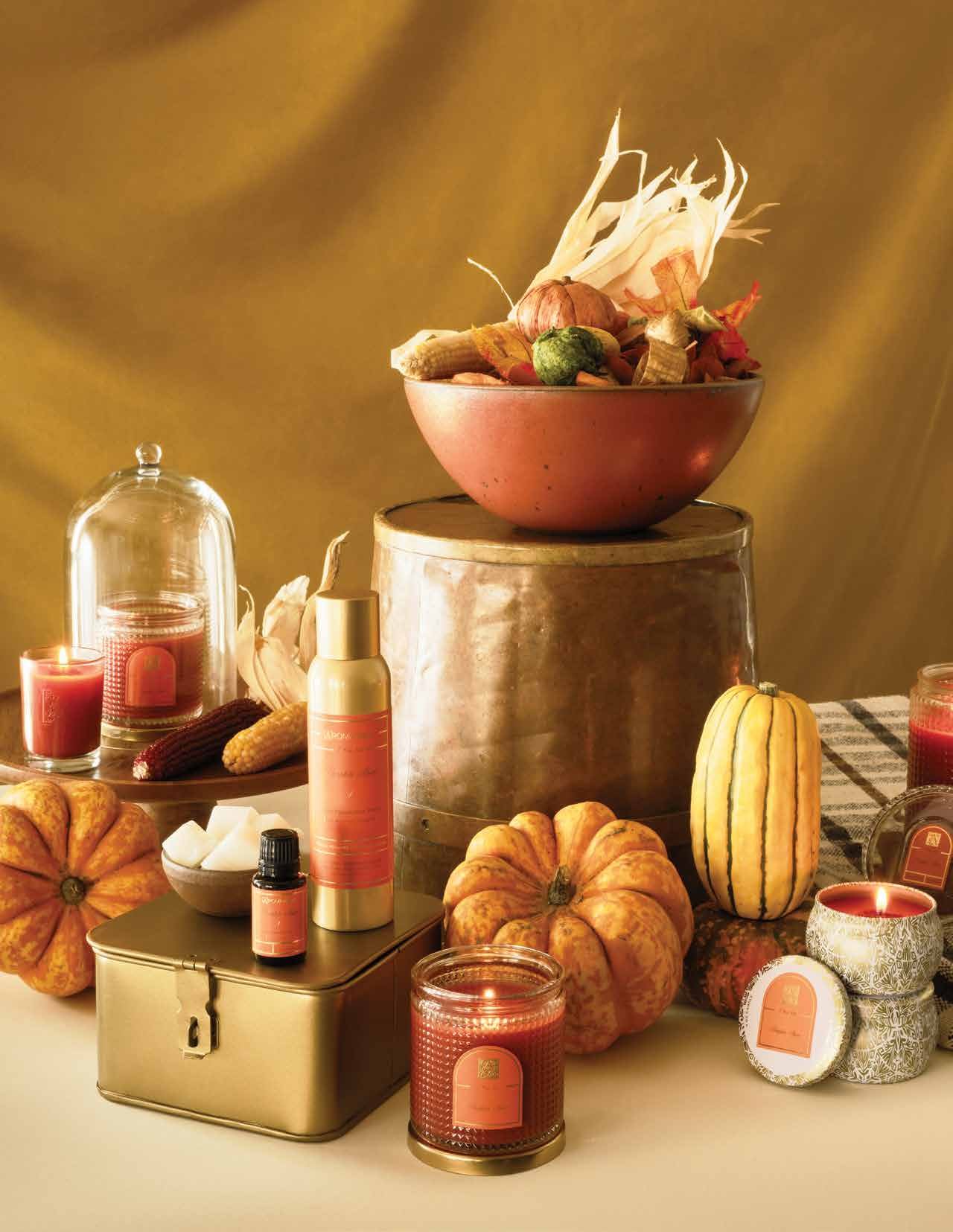 PUMPKIN SPICE COLLAGE.jpeg