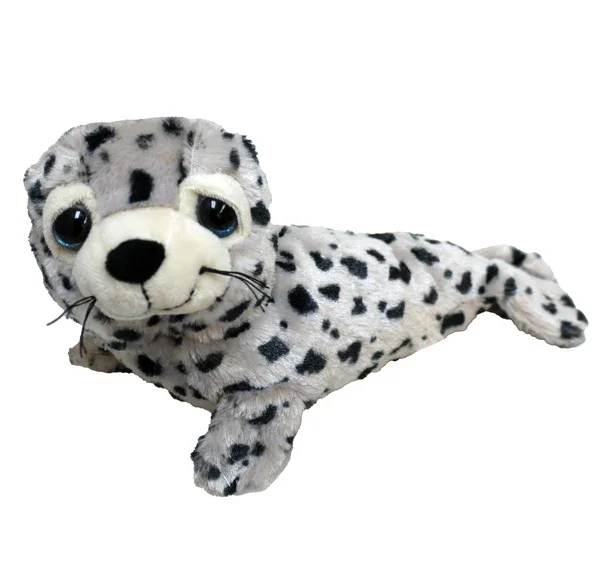 SPOTTED SEAL.webp