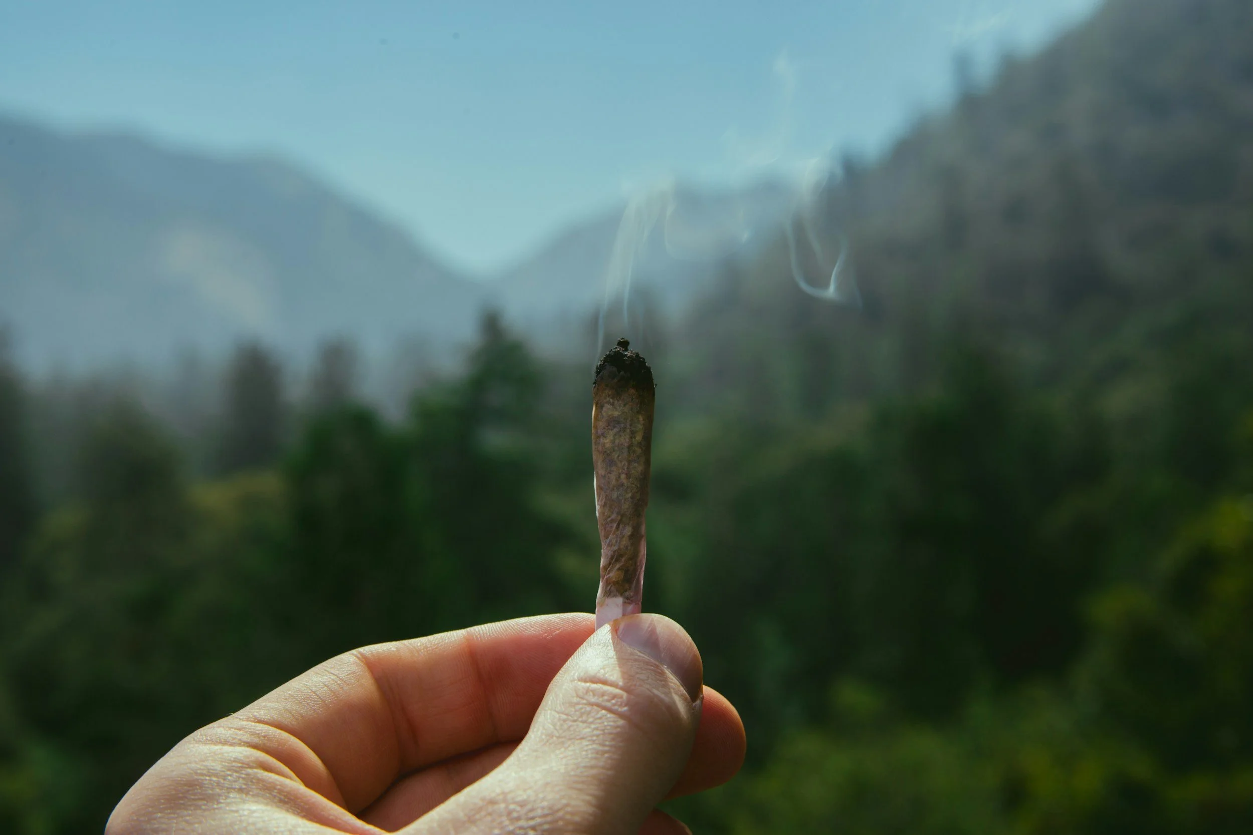 joint in woods