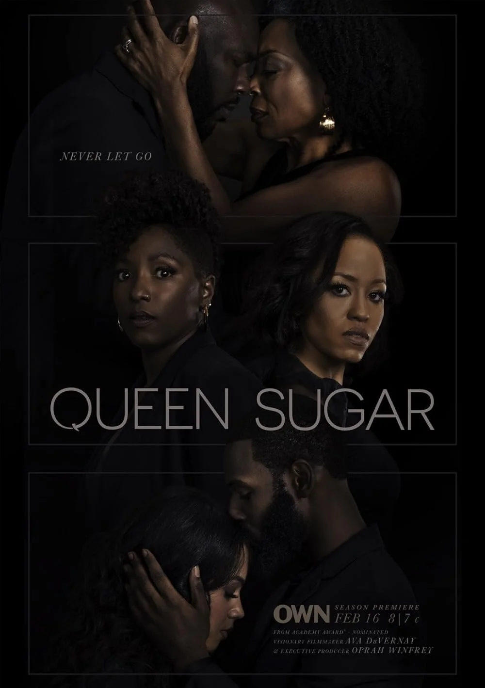 Queen Sugar - Assistant Colorist 