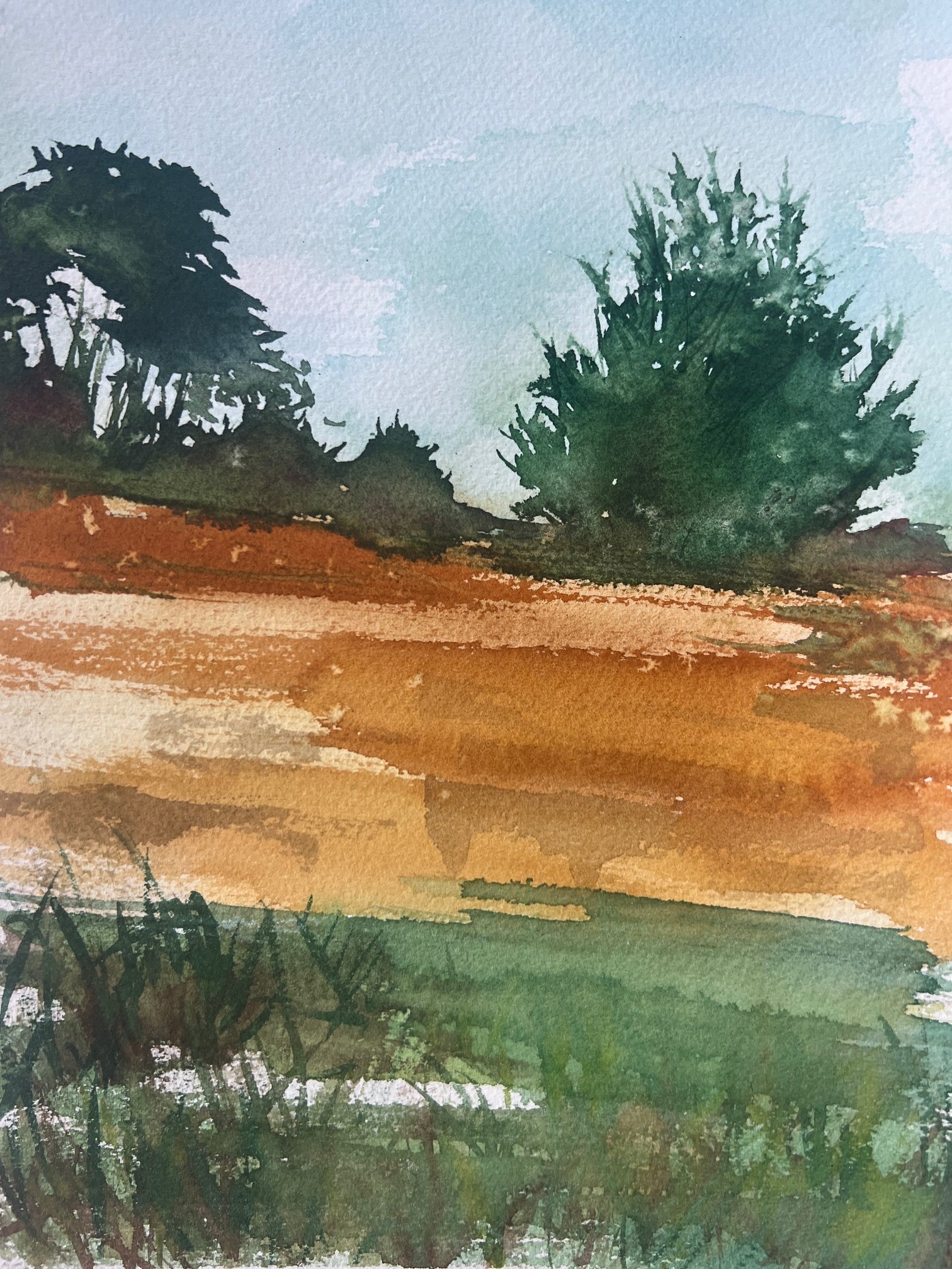 Sea Ranch at Dawn
2025
Watercolor on paper
9 inches x 12 inches 
