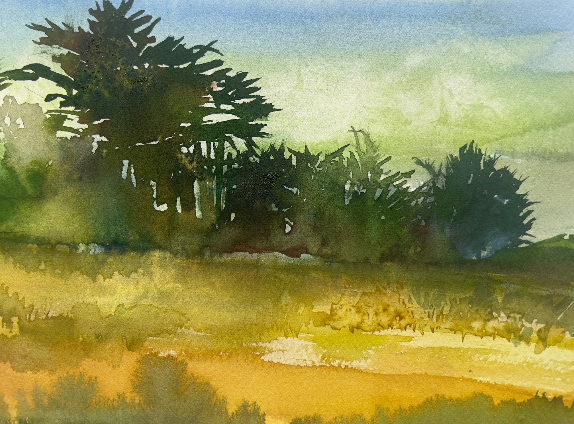Mendocino, CA.
2025
Watercolor on paper
9 inches x 11 inches
