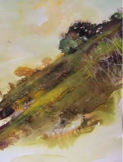 Marin Headlands 
2026
Watercolor on paper
9 inches x 11 inches 