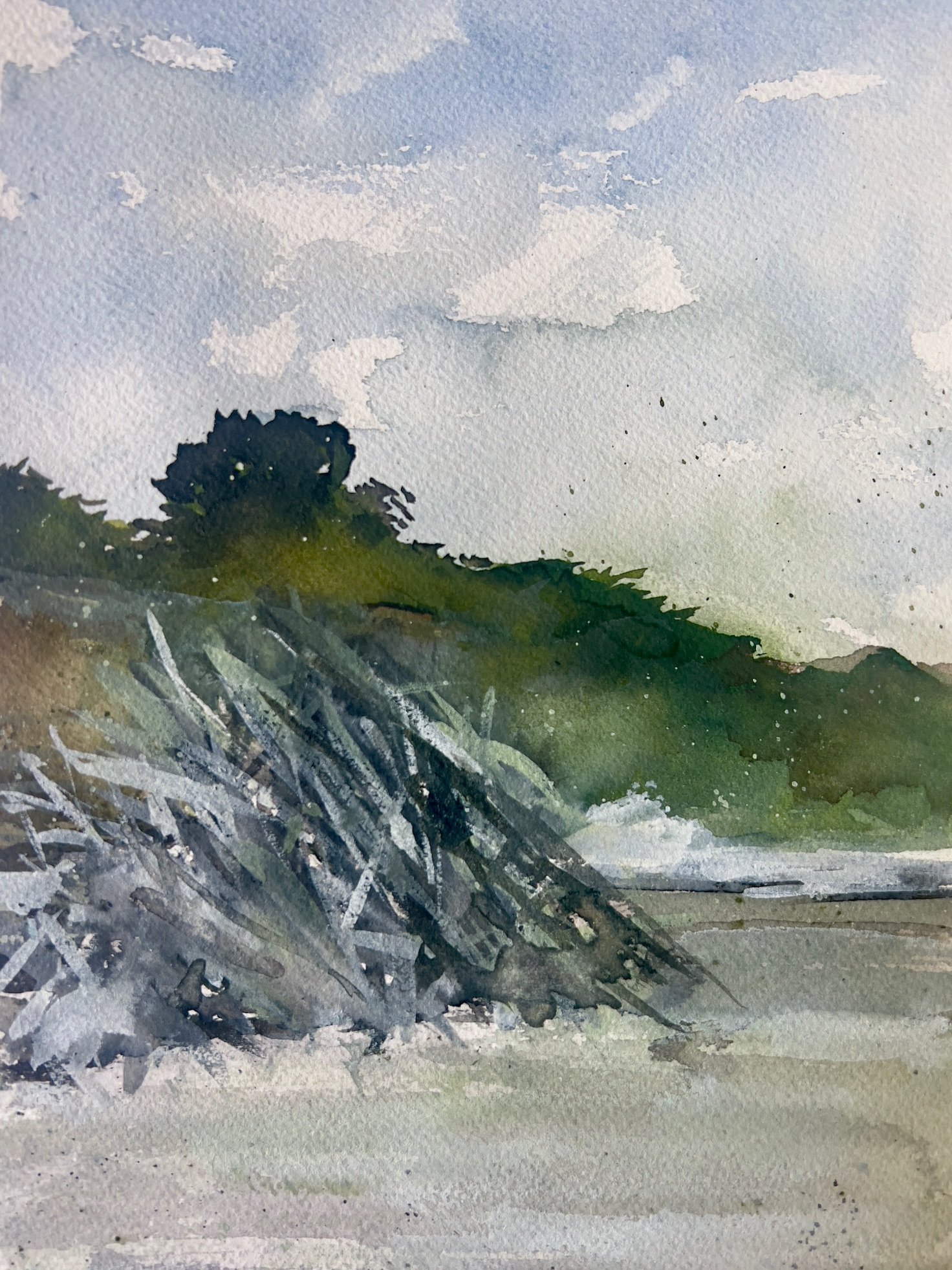Sea Ranch, Driftwood
2025
Watercolor on paper
9 inches x 12 inches