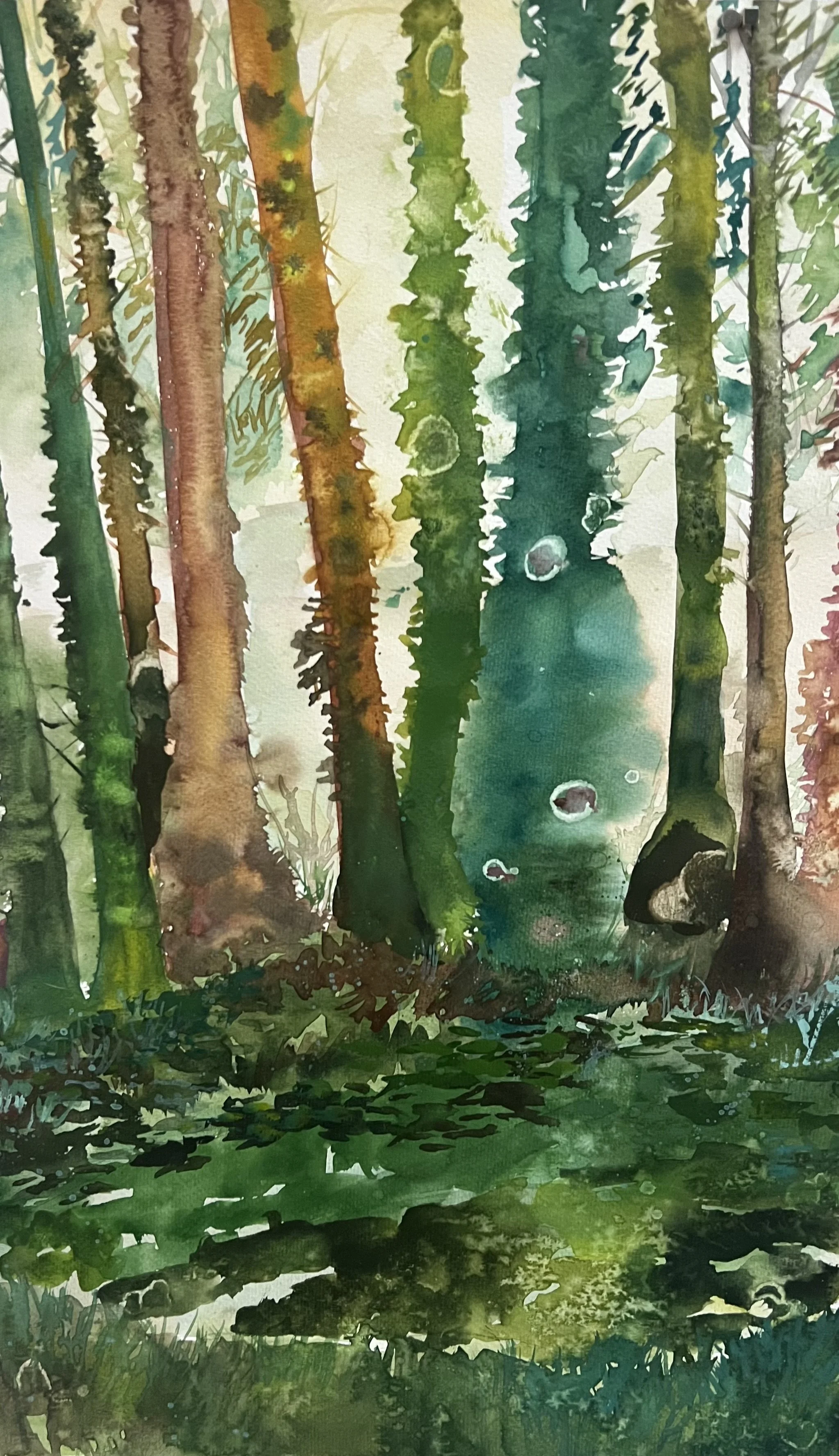 Through the Meadow, 2025 (tree hollows) - SOLD
2025
Watercolor on paper
15 inches x 23 inches
Unframed  
