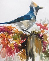The Blue Jay
2018
India ink on Canson watercolor paper
11 inches x 14 inches