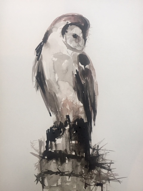 Barn Owl
2018
India Ink on Canson paper
11 inches x 14 inches