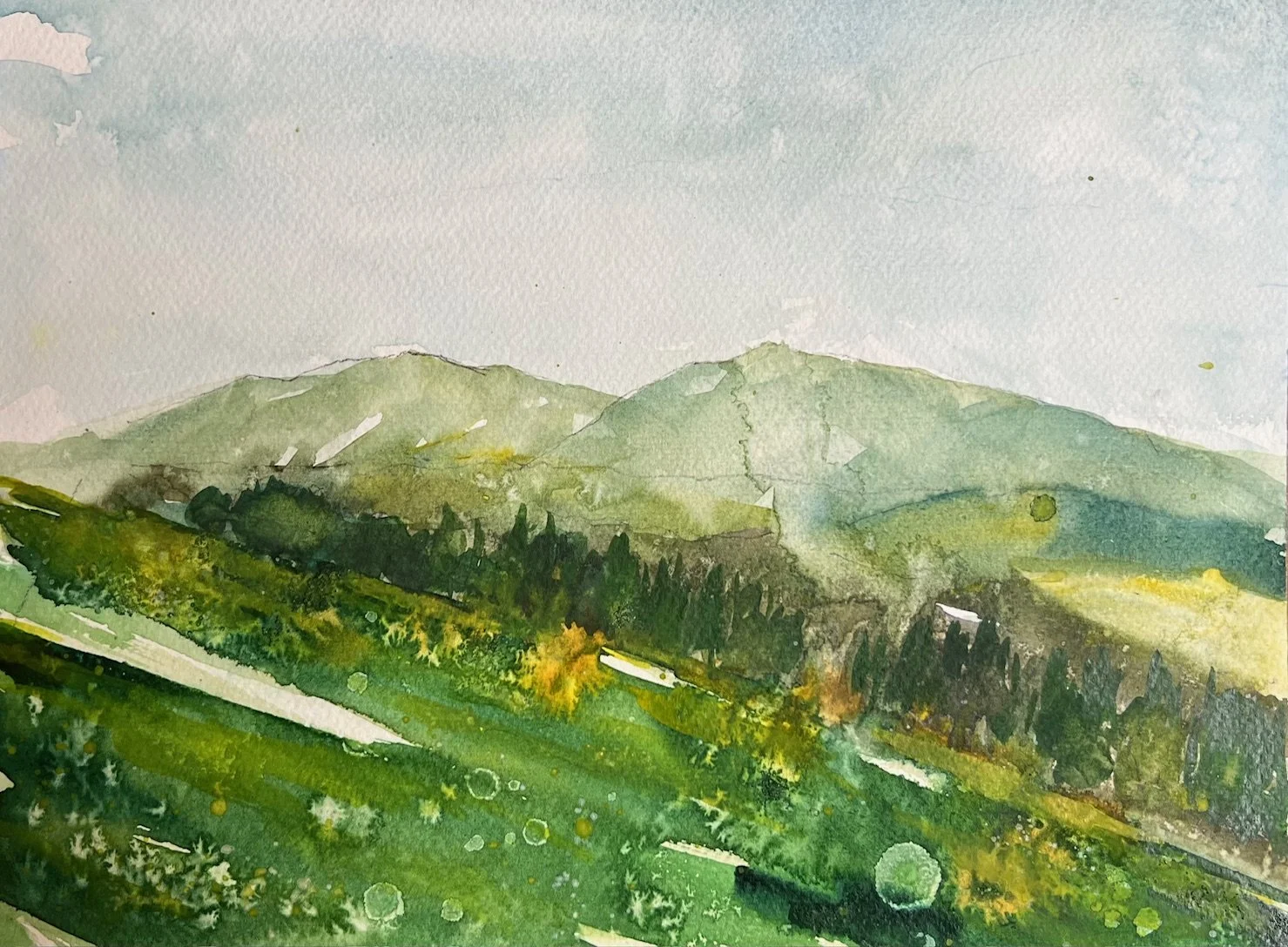 Mt. Diablo in Sap Green
2026
Watercolor on paper
9 inches x 12 inches