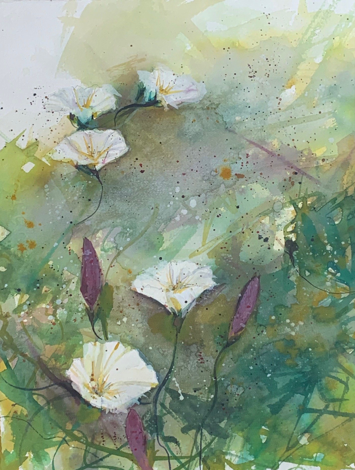 Wild Morning Glory, Old Coast Highway - SOLD
2020
Watercolor on Arche paper
11 inches x 14 inches