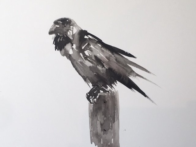 The Raven - SOLD
2018
India ink on Canson watercolor paper
11 inches x 15 inches