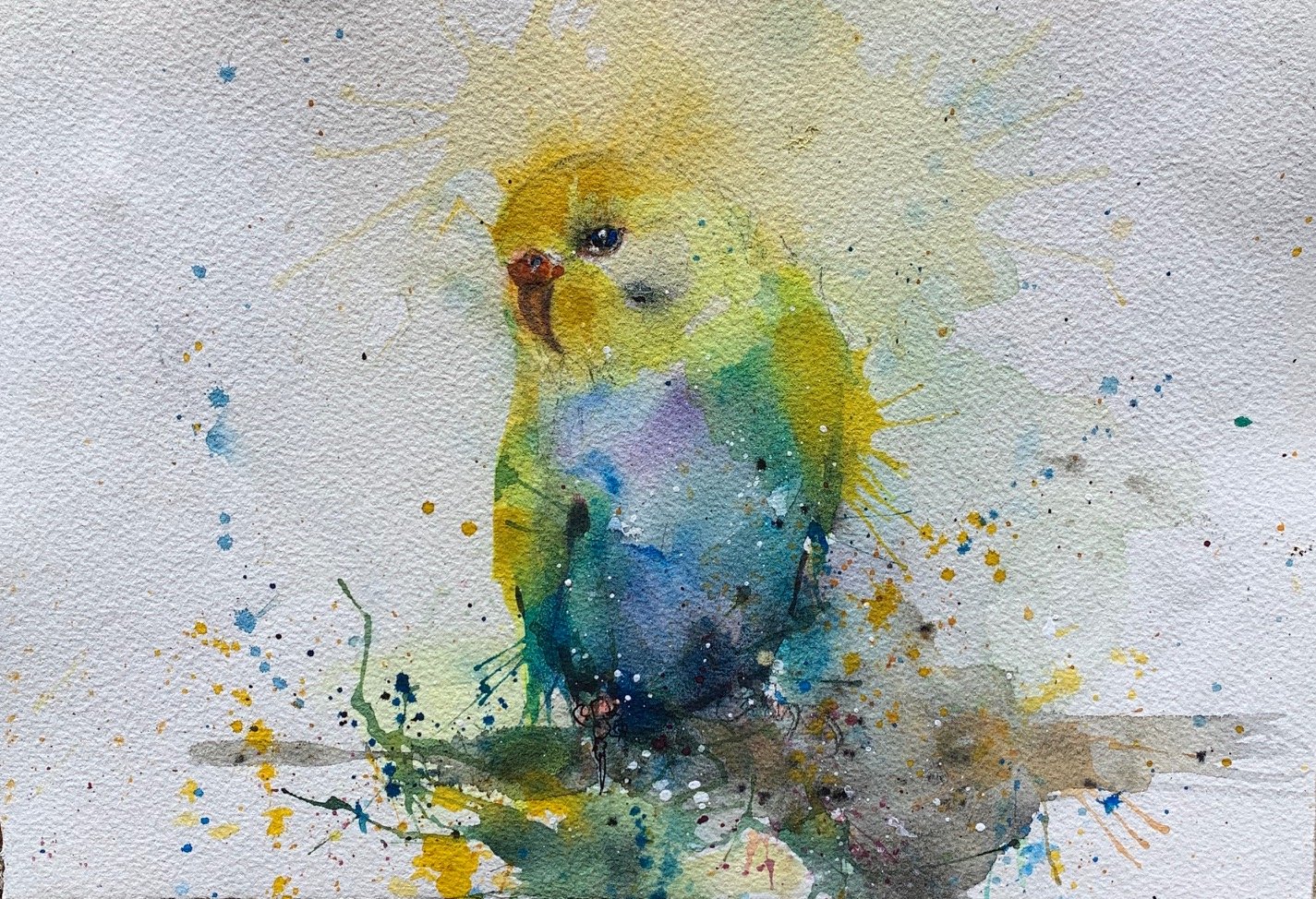 Parrot of Telegraph Hill, San Francisco
2020
India ink and watercolor on Arches paper
8 inches x 11 inches