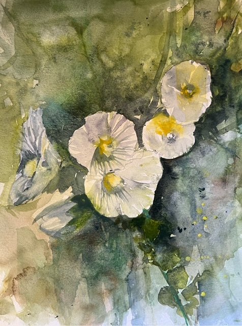 Hollyhocks (white), Gdansk, Poland #1 - SOLD
2023
Watercolor on paper
11 inches x 14 inches