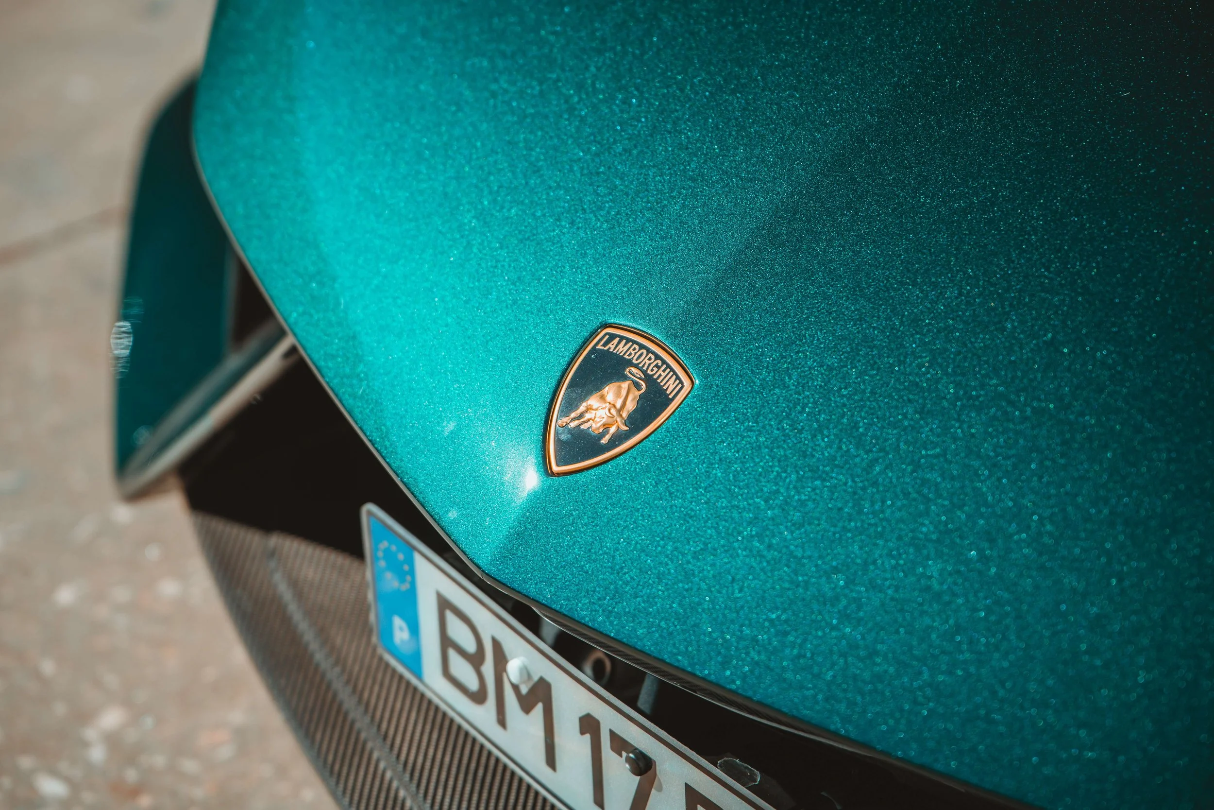 DSC08846.jpg
