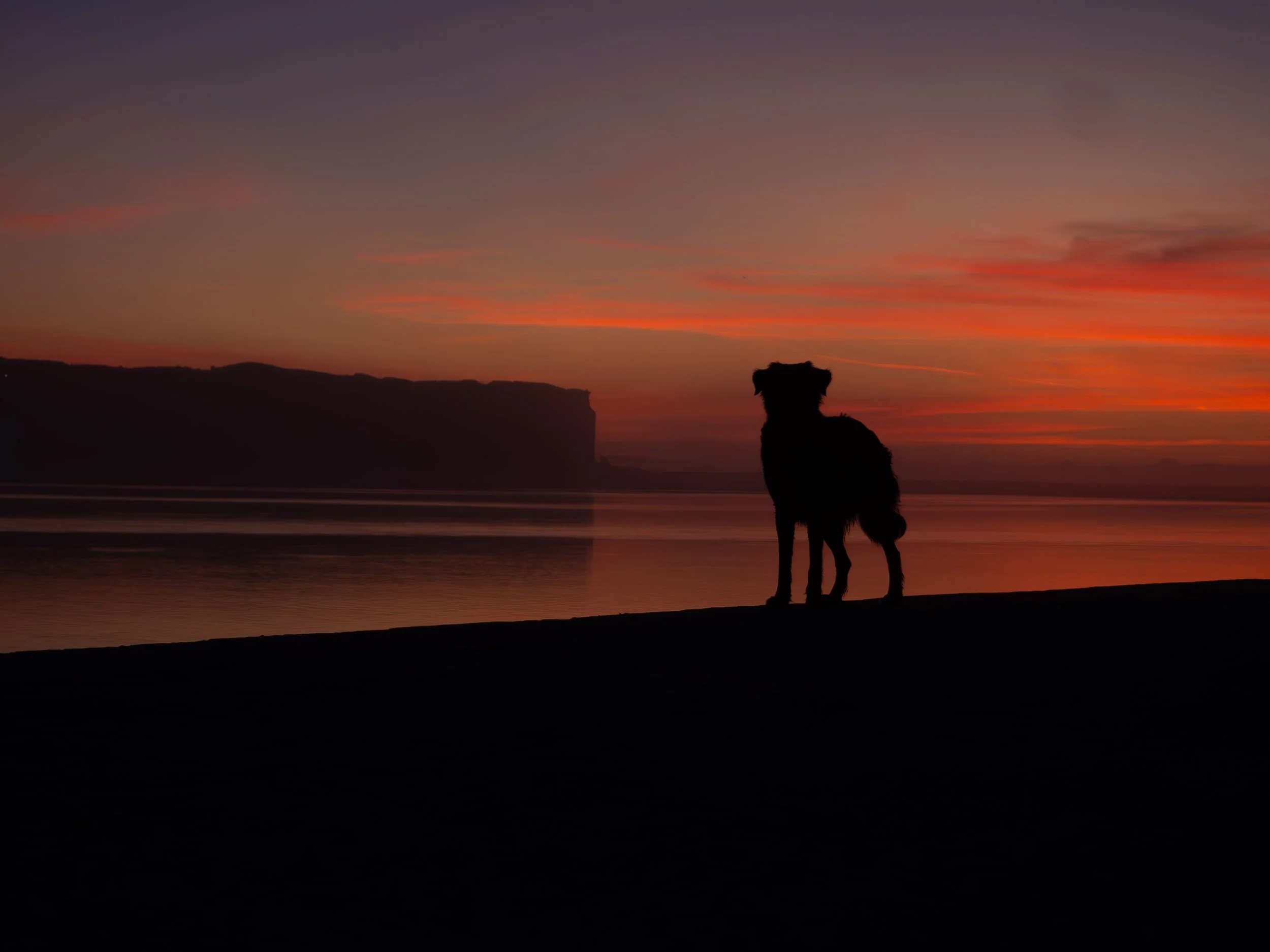 P1010296-4-Aprimorado-NR.jpg