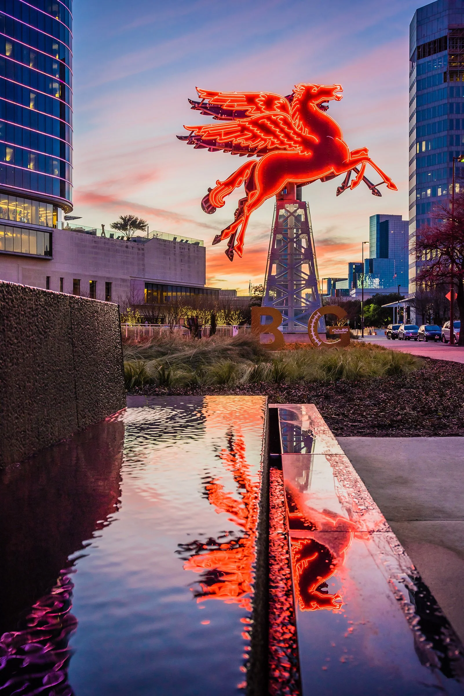 Pegasus_8101695_web.jpg