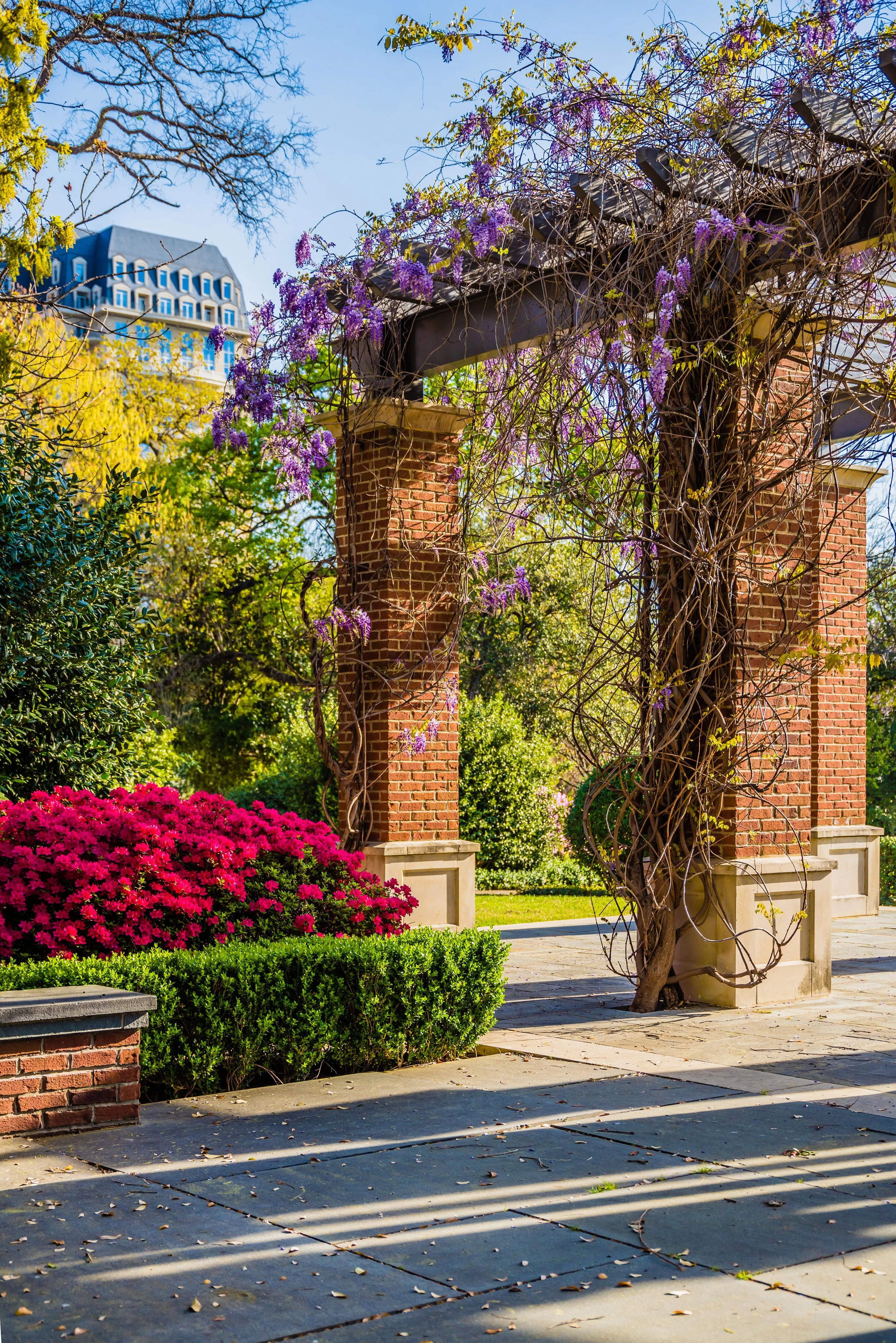 Turtle Creek Park_web_05_visid.jpg