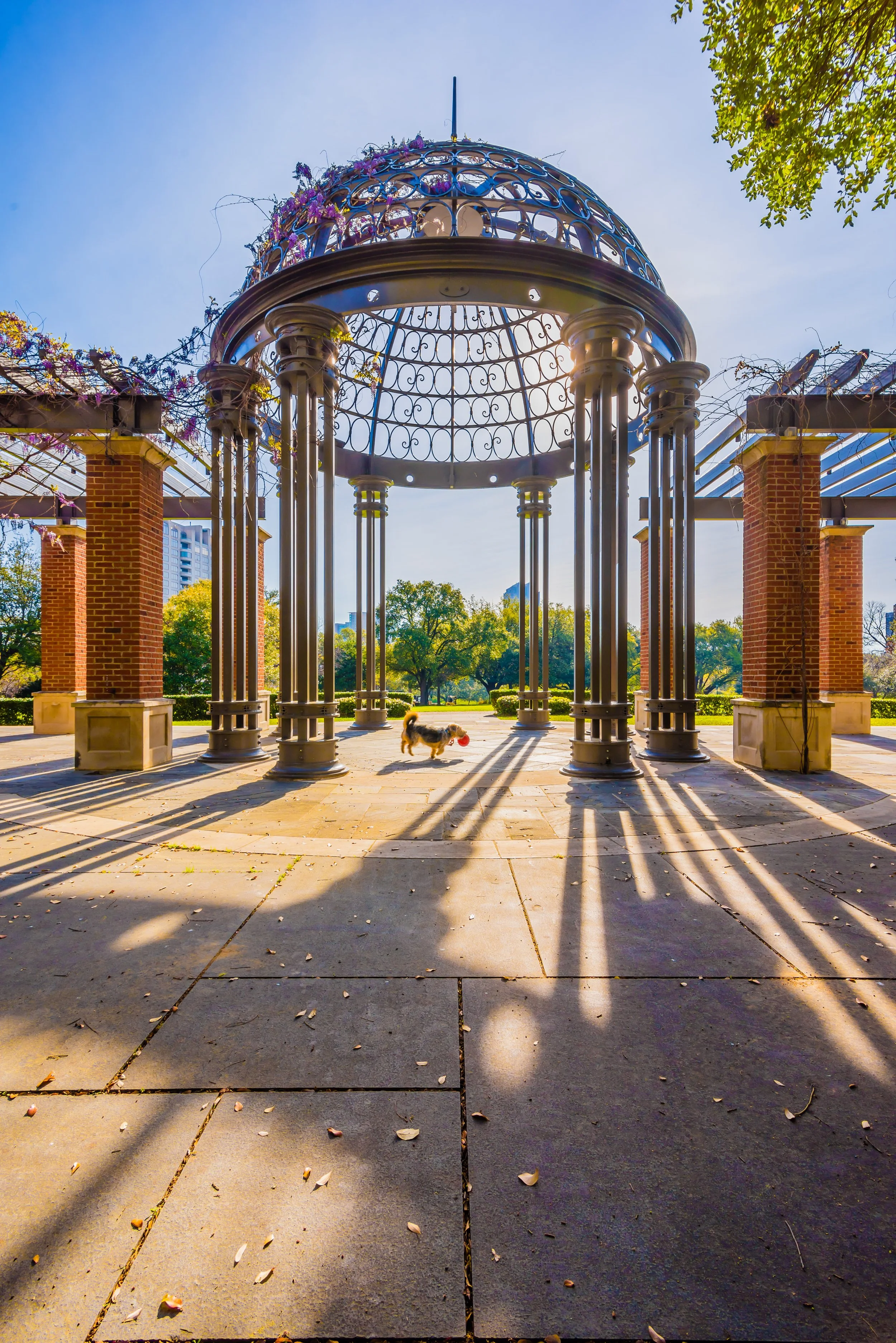 Turtle Creek Park_web_04_visid.jpg