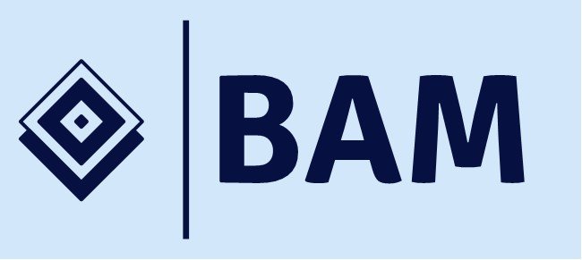 BAM - Business Acceleration Management