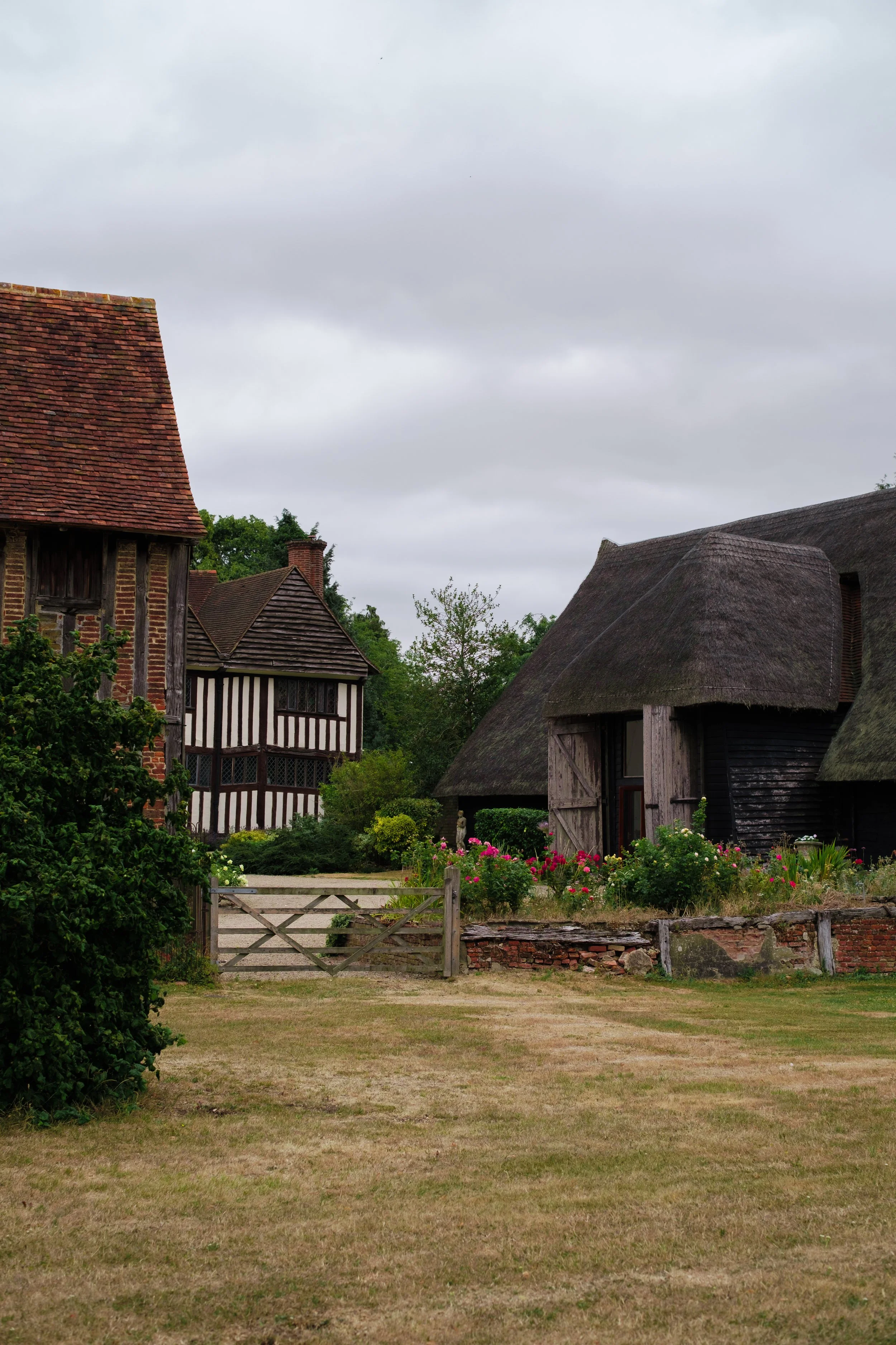 DSCF9495.jpg
