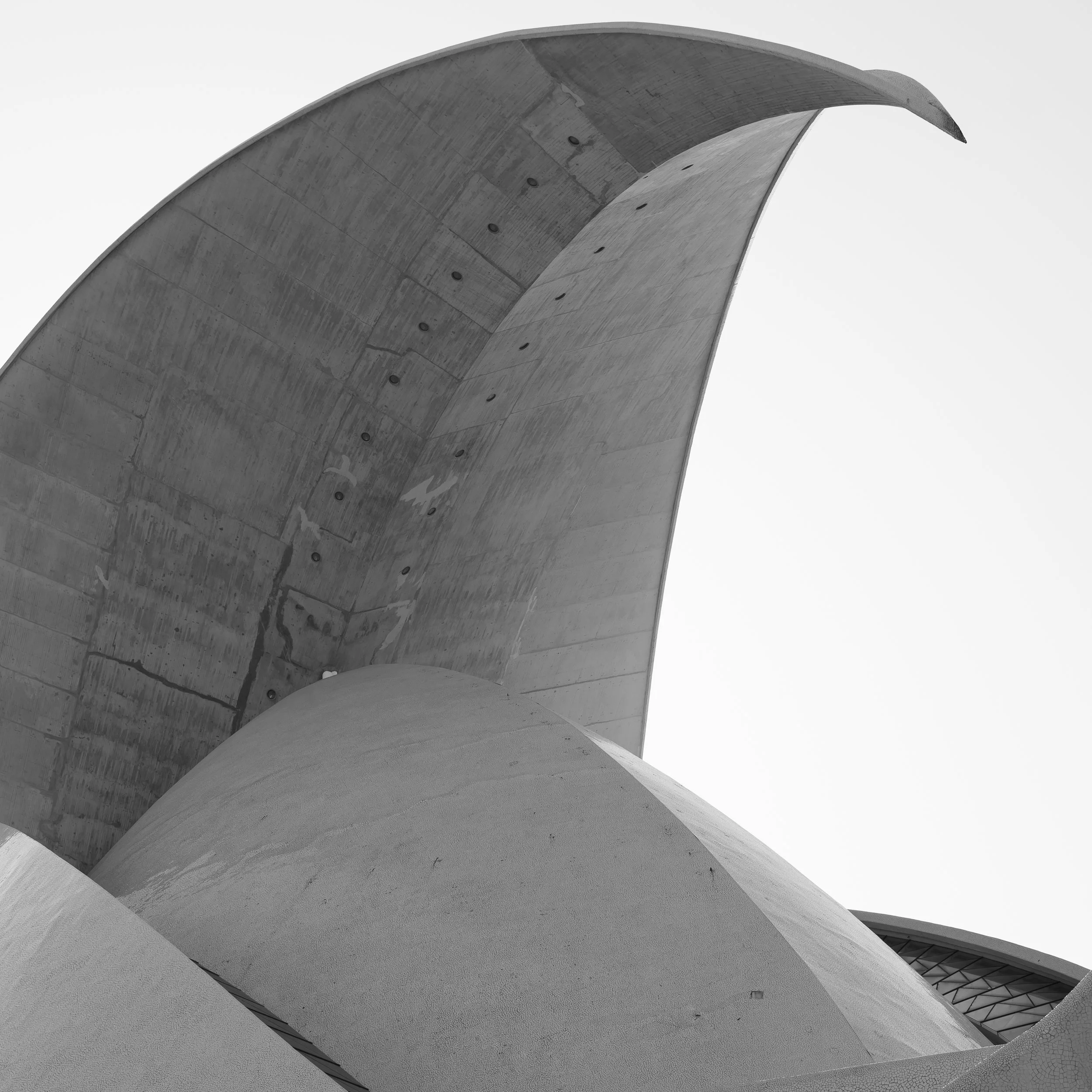 Auditorio de Tenerife, Santa Cruz de Tenerife, 2024. 60 x 60cm. Edition of 10. 