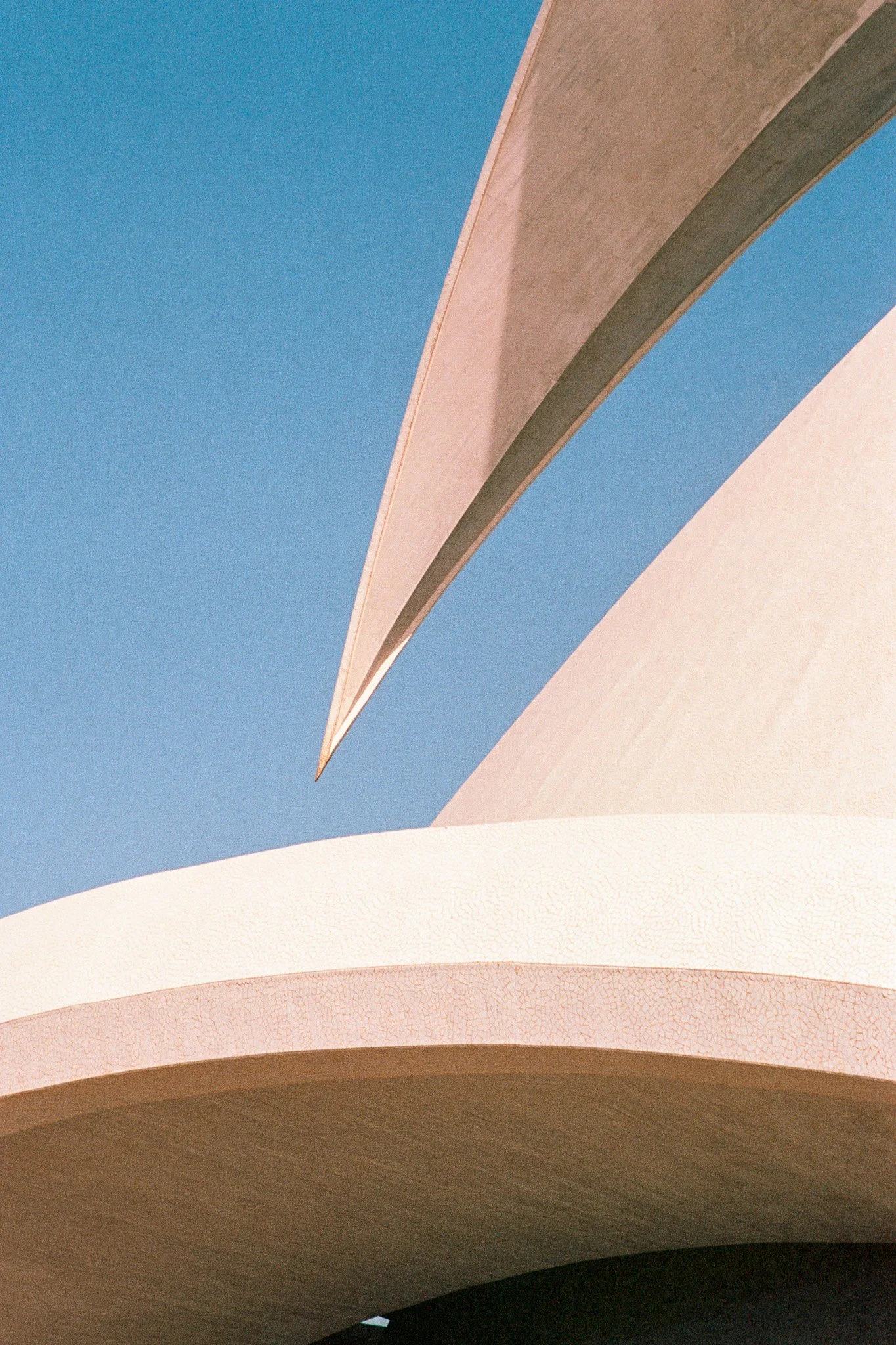010224_santacruzdetenerifev2scans-Edit-Edit.jpg