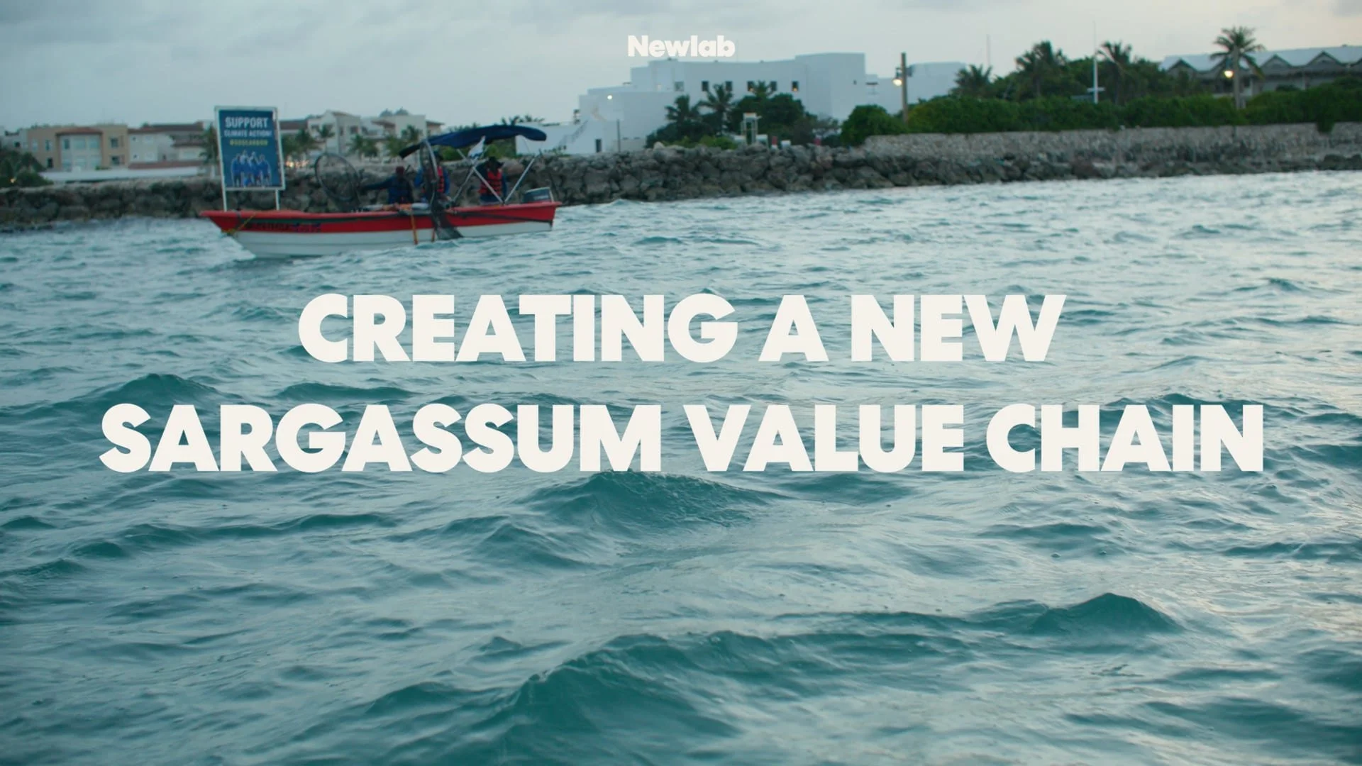 Newlab — Waste to X: Sargassum