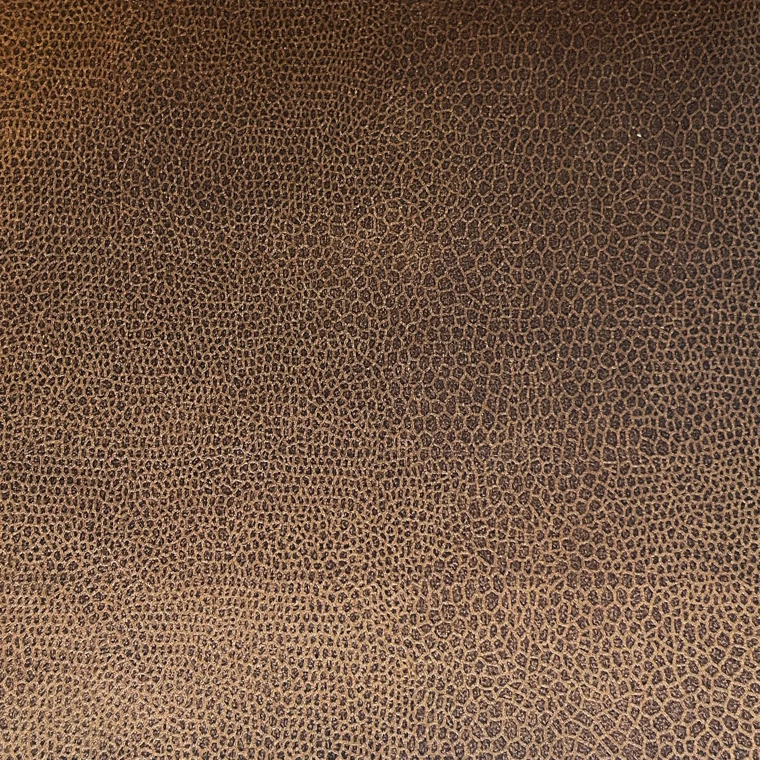 Mocha